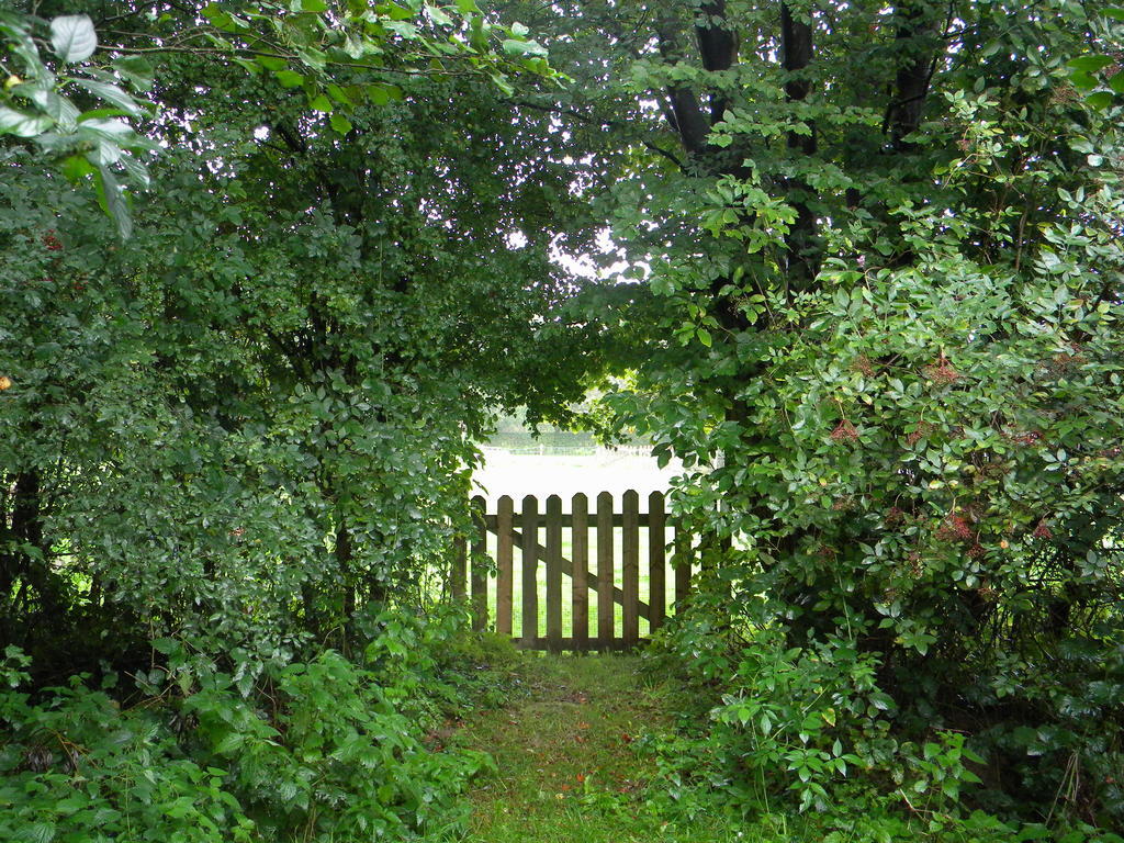 Landhaus Petrus Wittebrood Hoeve *