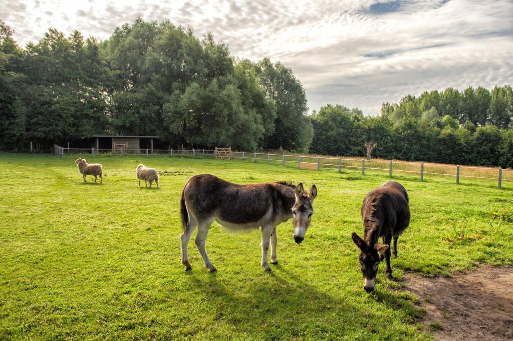 Landhaus Petrus Wittebrood Hoeve